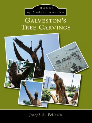 Galveston's Tree Carvings - ebook